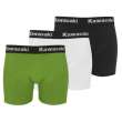 Boxers Kawasaki Couleur